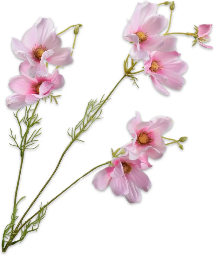 Silk-Ka kunstbloem Cosmea licht roze 56 cm