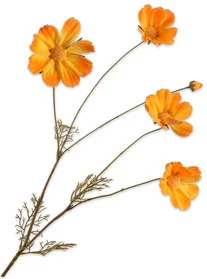 Silk-ka kunstbloem Cosmea geeloranje 92 cm
