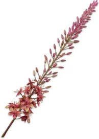 Silk-ka kunstbloem Naald van Cleopatra groen / paars 107 cm