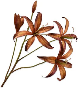 Silk-ka kunstbloem Lelie bruin 80 cm