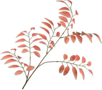 Silk-ka kunstbloem Es oranje 107 cm