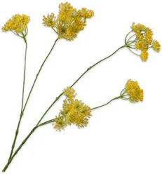 Silk-ka kunstbloem Dille geel 83 cm