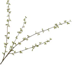 Silk-ka kunstbloem Krentenboompje 122 cm