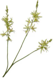 Silk-ka kunstbloem Montbresia groen 95 cm