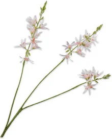 Silk-ka kunstbloem Montbresia wit 95 cm