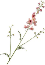 Silk-ka kunstbloem Ridderspoor abrikoos 101 cm