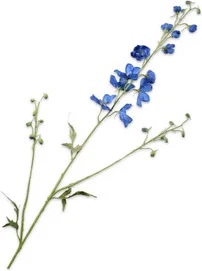 Silk-ka kunstbloem Ridderspoor blauw 101 cm