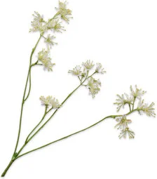 Silk-ka kunstbloem Aralia wit 74 cm