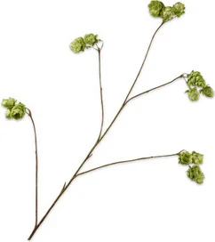 Silk-ka kunstbloem Hop groen 108 cm