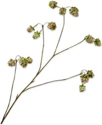 Silk-ka kunstbloem Hop groen / roze 108 cm