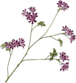 Silk-ka kunstbloem Geranium wit / paars 94 cm
