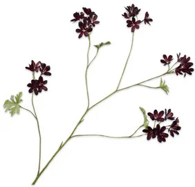 Silk-ka kunstbloem Geranium bordeaux 94 cm