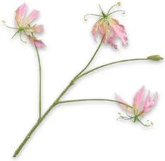 Silk-ka kunstbloem Prachtlelie roze 70 cm