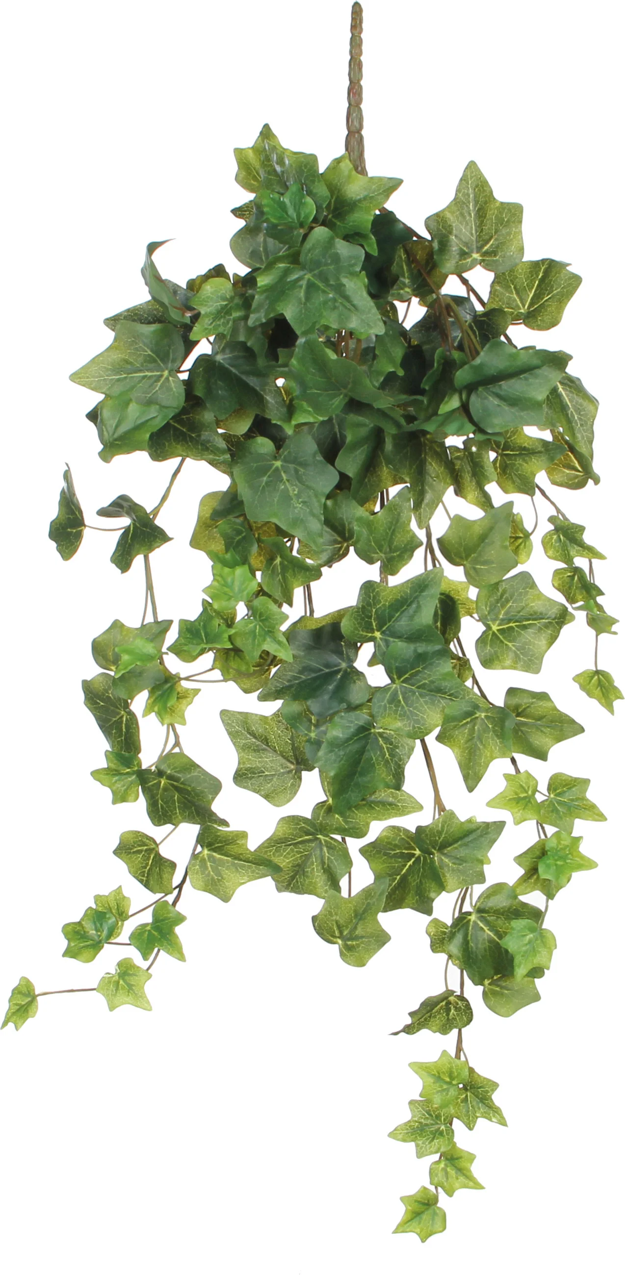 Mica Decorations kunsthangplant Hedera 71 x 20 x 15 cm