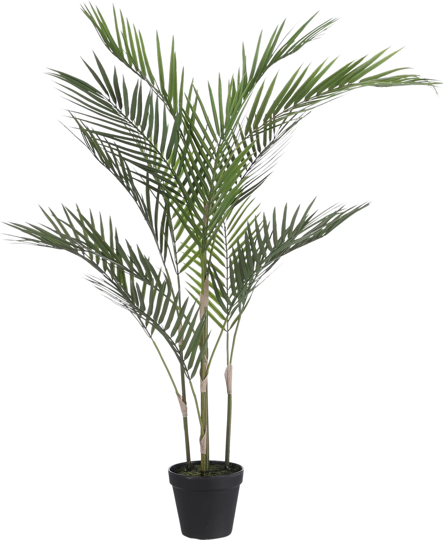 Mica Decorations kunstplant Palm 50 x 50 x 91 cm