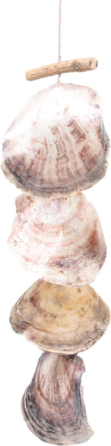 SID windgong met schelpen naturel 14 x 2 x 70 cm