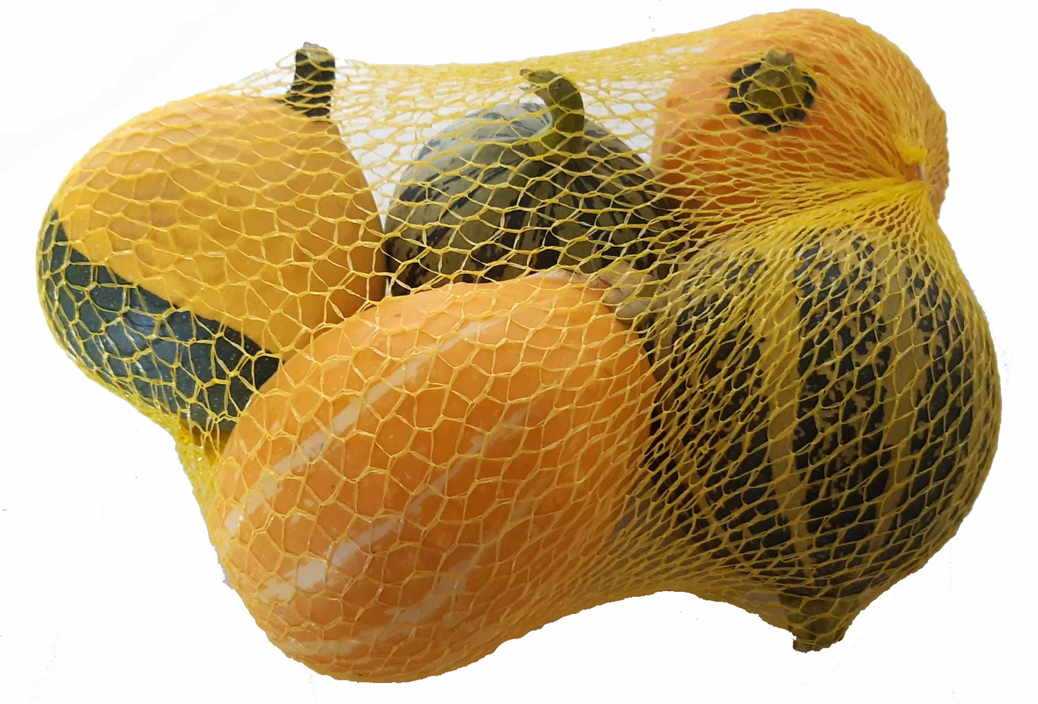 Sierkalebas Klein gemengd in netje (Cucurbita)