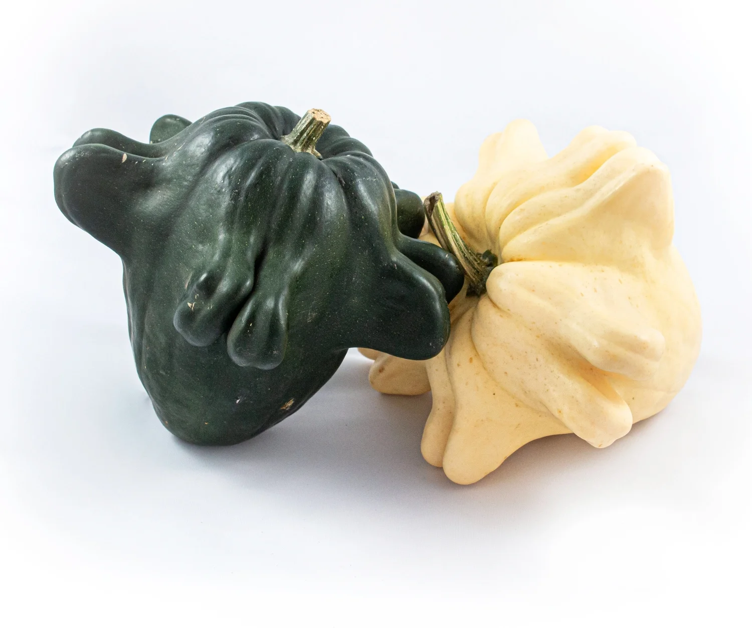 Sierkalebas (Cucurbita 'Yougoslavian fingers') D 15 cm