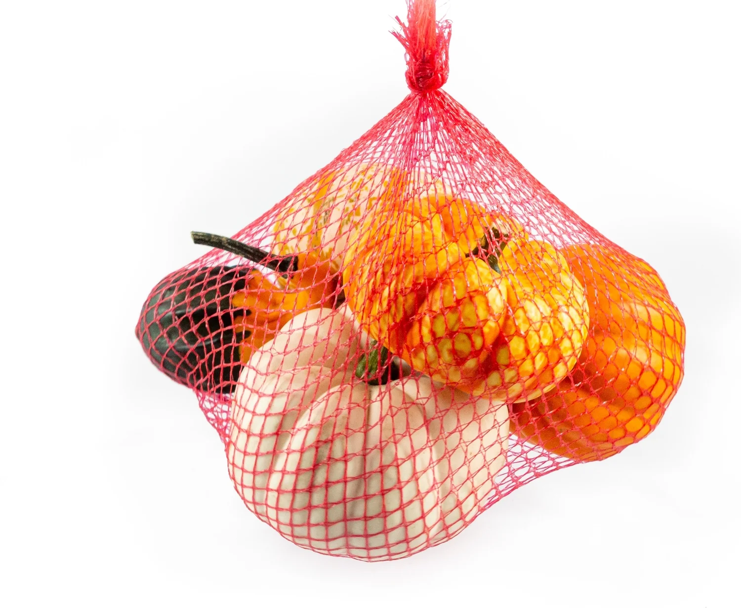 Sierkalebassen in netje (Cucurbita)