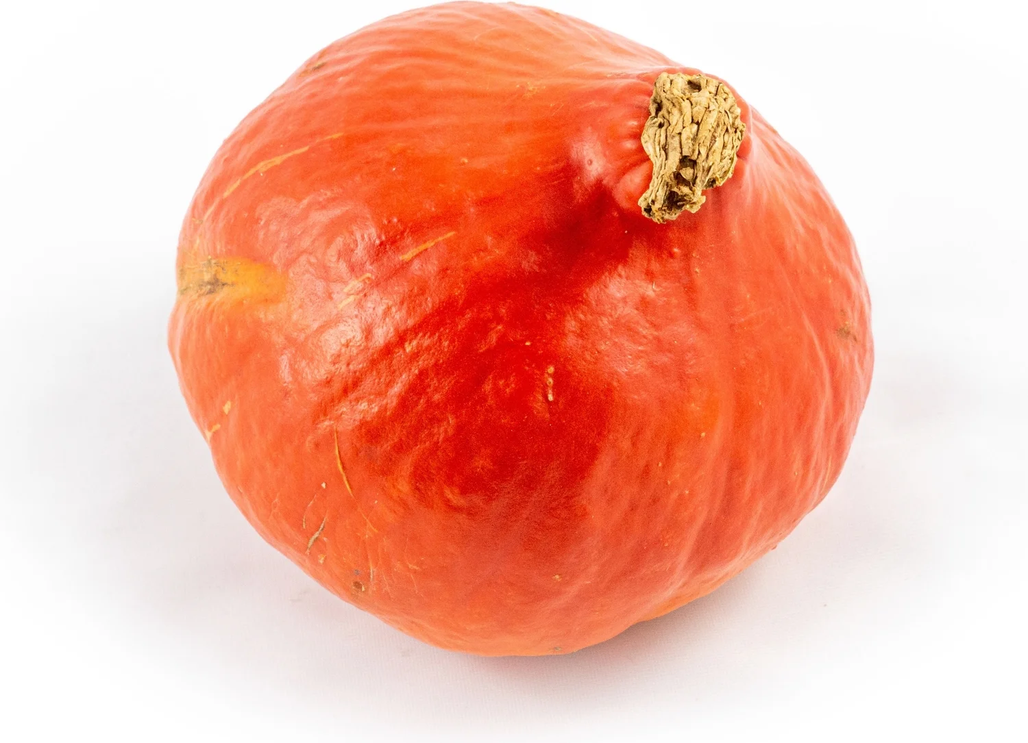 Pompoen (Cucurbita 'Rode Hokkaido') D 17,5 cm