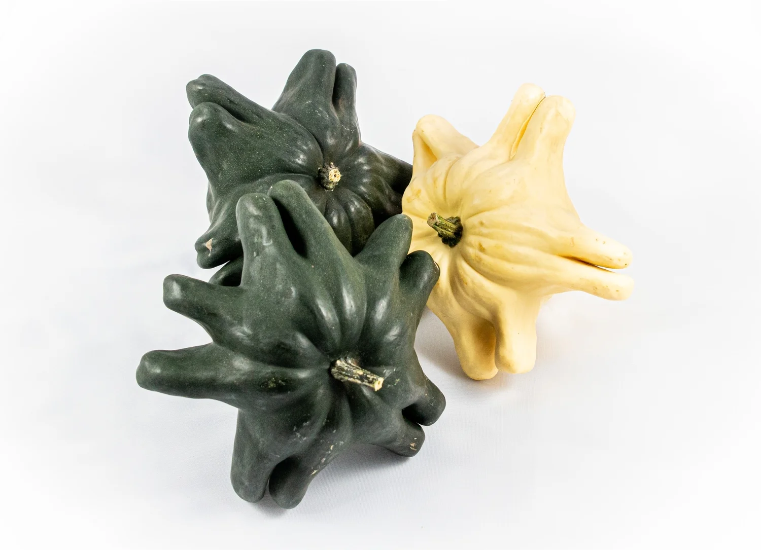 Sierkalebas (Cucurbita 'Yougoslavian fingers') D 18 cm