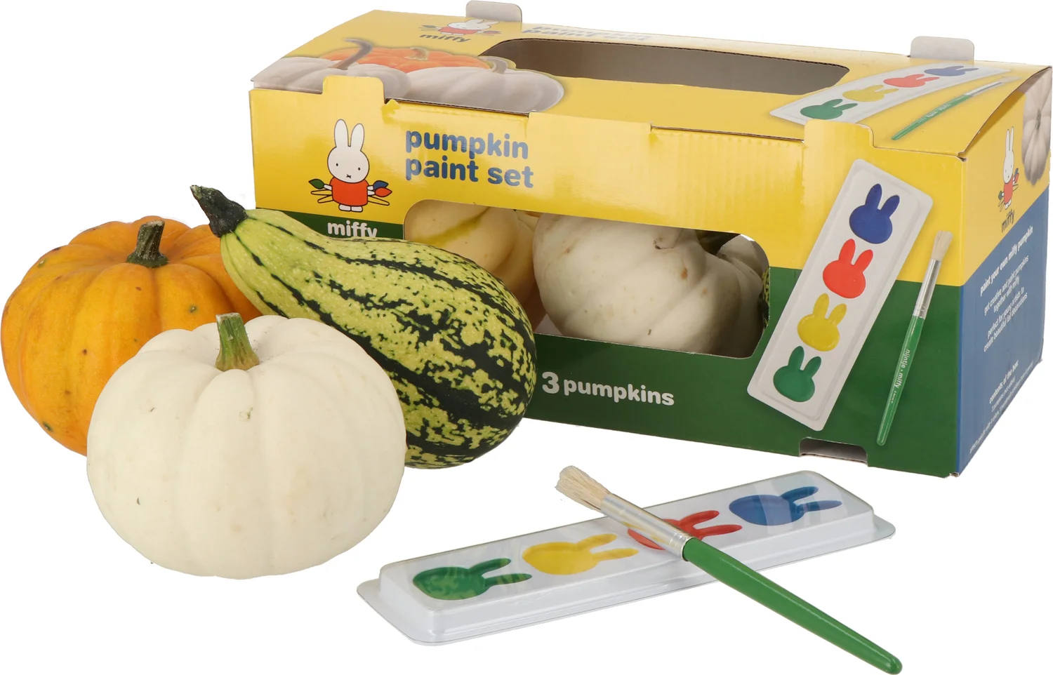 Pompoen (Cucurbita 'Nijntje Schilderset') D 15 cm