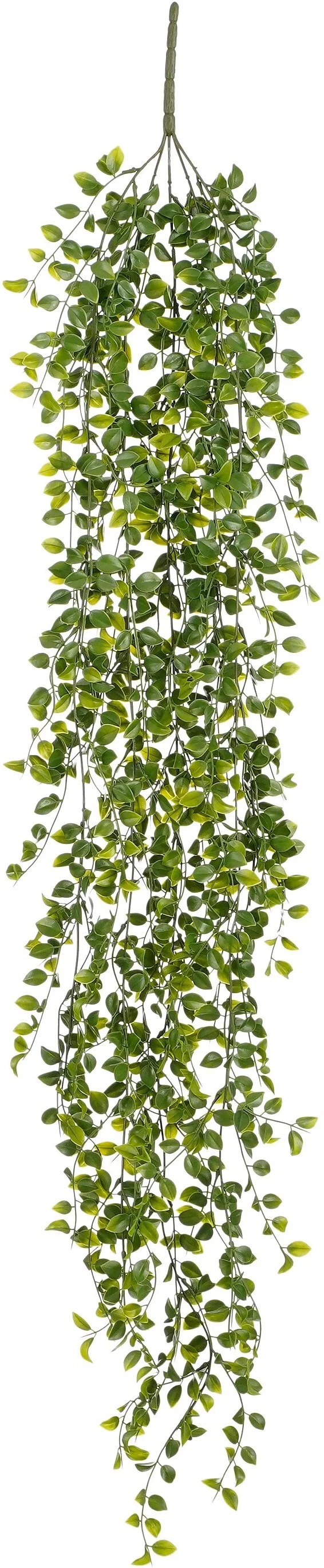 Mica Decorations kunsthangplant Klimvijg groen 120 x 10 x 10 cm