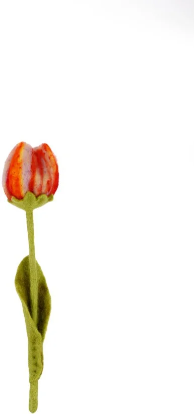 Sjaal met Verhaal paasdecoratie Riva tulp groen / roze 40 x 8 x 8 cm