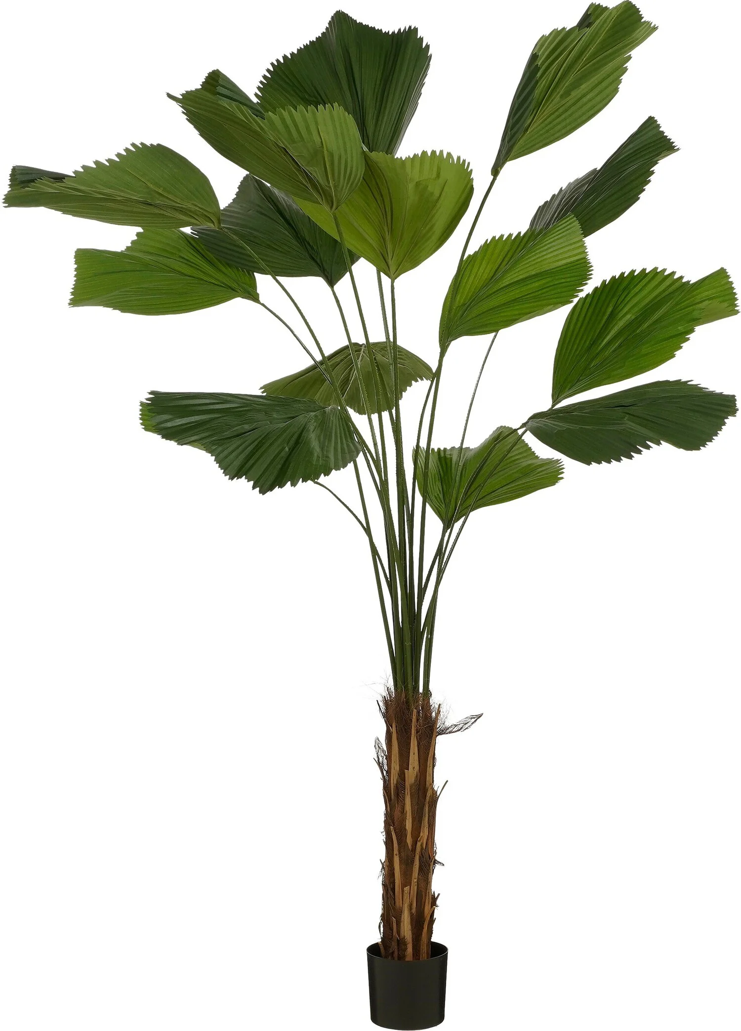 Mica Decorations kunstplant Palmboom H 210 D 95 cm